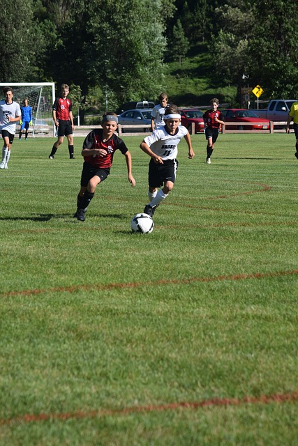 顶级球员的 顶级球员的