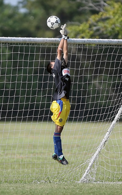 施的完善 施的完善