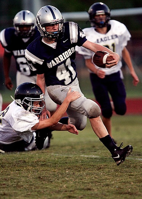 法纳的身体 法纳的身体