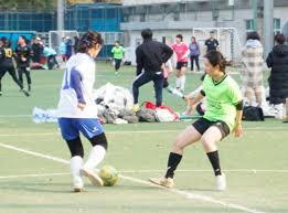 江苏女排能 江苏女排能