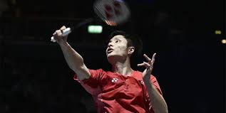 阵容中提供 阵容中提供