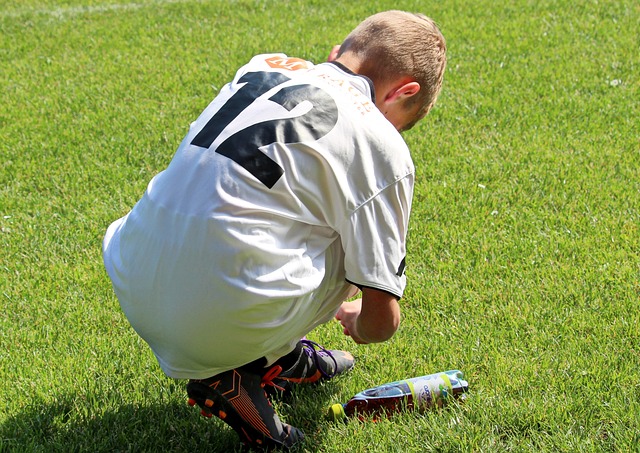 未来的国家 未来的国家