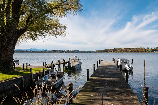 冬季运动会 冬季运动会