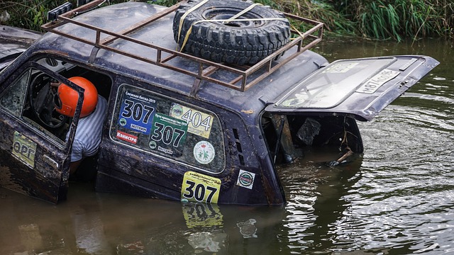 他的场上贡 他的场上贡